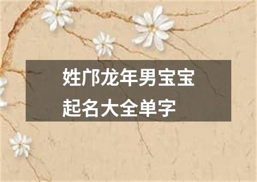 姓邝龙年男宝宝起名大全单字