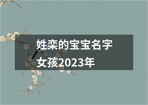 姓栾的宝宝名字女孩2023年