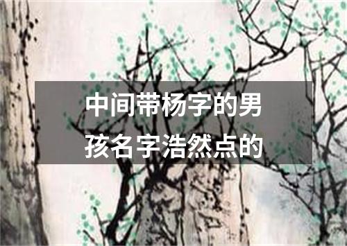 中间带杨字的男孩名字浩然点的