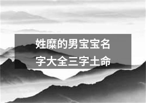 姓糜的男宝宝名字大全三字土命