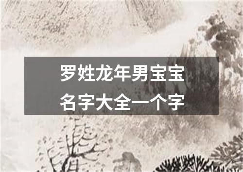 罗姓龙年男宝宝名字大全一个字