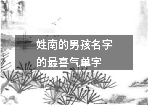姓南的男孩名字的最喜气单字