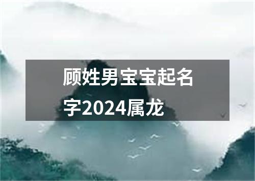 顾姓男宝宝起名字2024属龙