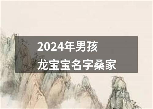 2024年男孩龙宝宝名字桑家