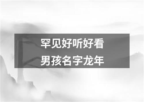 罕见好听好看男孩名字龙年