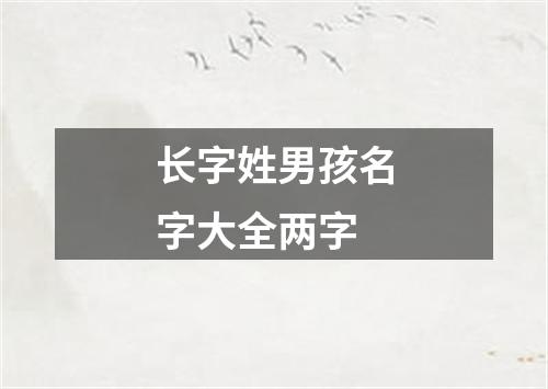 长字姓男孩名字大全两字