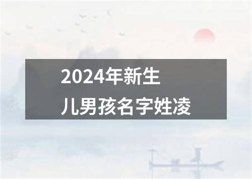 2024年新生儿男孩名字姓凌