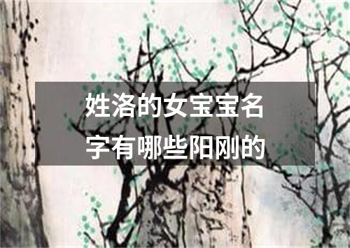 姓洛的女宝宝名字有哪些阳刚的