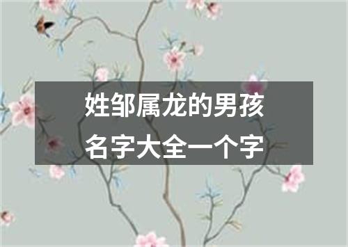 姓邹属龙的男孩名字大全一个字
