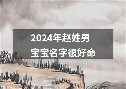 2024年赵姓男宝宝名字很好命