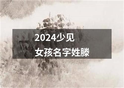 2024少见女孩名字姓滕