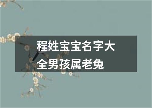 程姓宝宝名字大全男孩属老兔