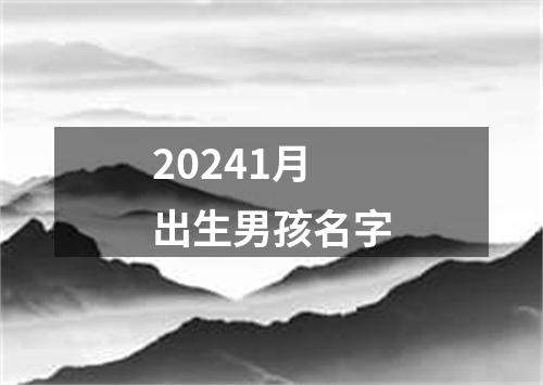 20241月出生男孩名字