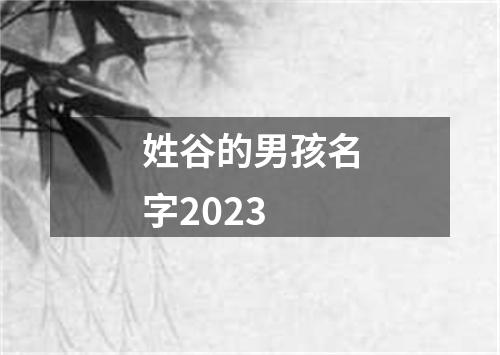 姓谷的男孩名字2023