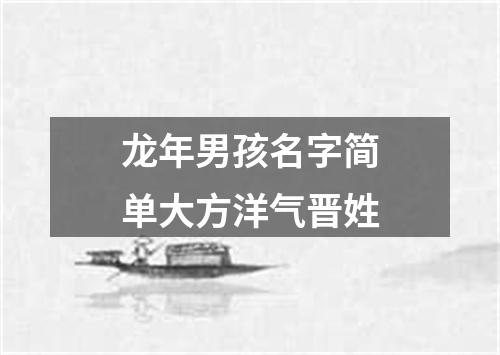 龙年男孩名字简单大方洋气晋姓