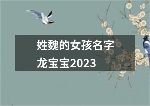 姓魏的女孩名字龙宝宝2023