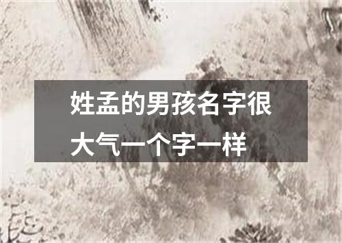 姓孟的男孩名字很大气一个字一样