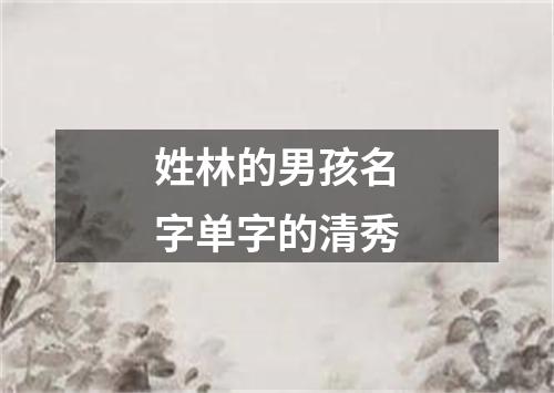 姓林的男孩名字单字的清秀