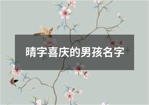晴字喜庆的男孩名字