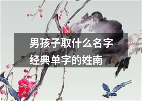 男孩子取什么名字经典单字的姓南