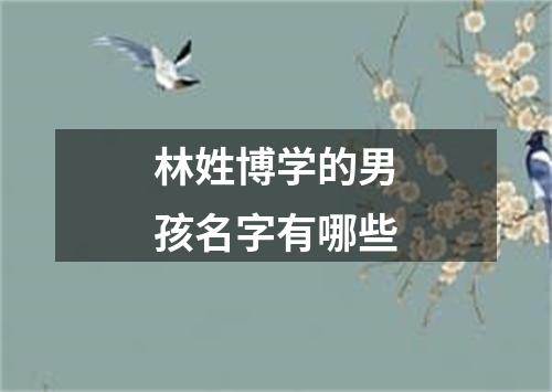 林姓博学的男孩名字有哪些