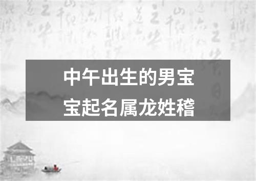 中午出生的男宝宝起名属龙姓稽
