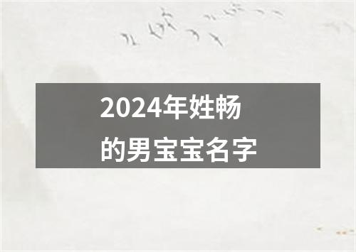 2024年姓畅的男宝宝名字