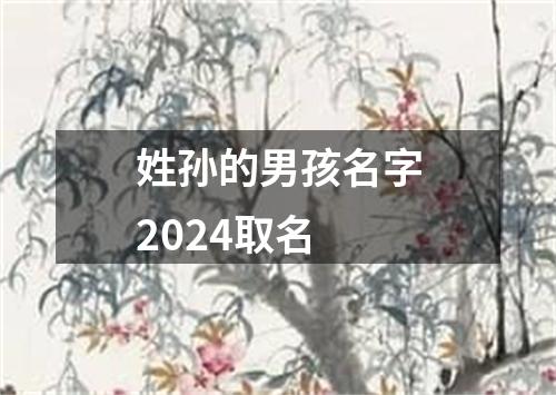 姓孙的男孩名字2024取名