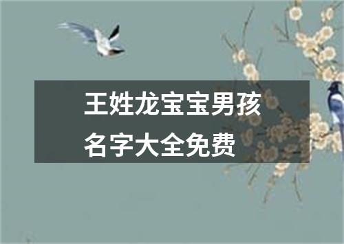 王姓龙宝宝男孩名字大全免费