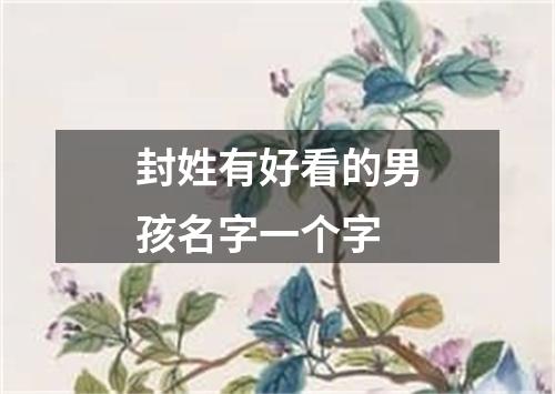 封姓有好看的男孩名字一个字