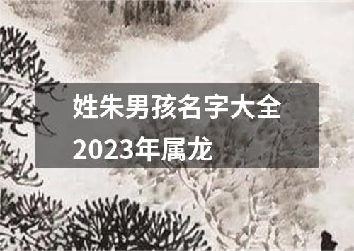 姓朱男孩名字大全2023年属龙