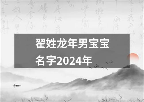 翟姓龙年男宝宝名字2024年