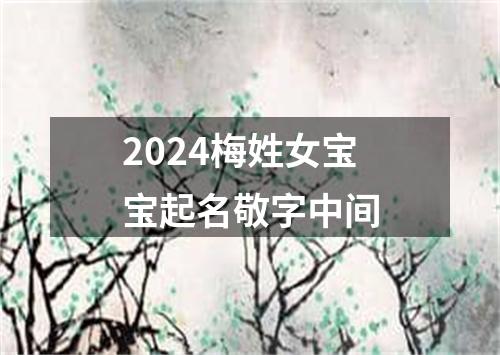 2024梅姓女宝宝起名敬字中间
