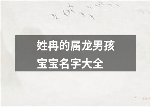 姓冉的属龙男孩宝宝名字大全