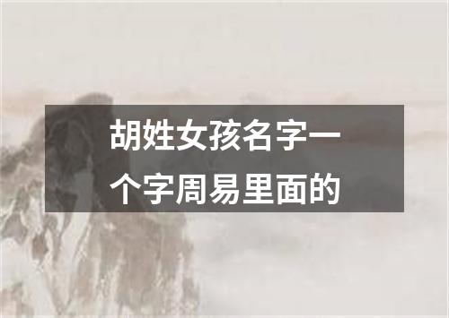 胡姓女孩名字一个字周易里面的