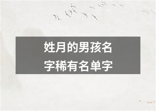 姓月的男孩名字稀有名单字