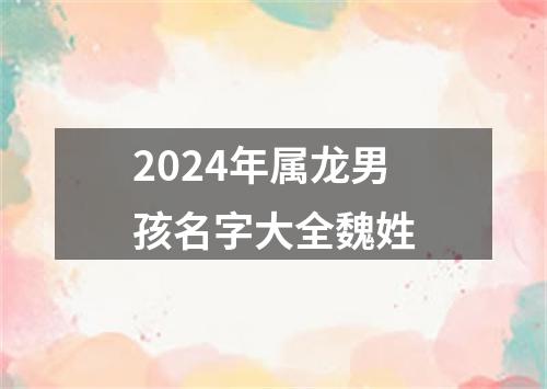 2024年属龙男孩名字大全魏姓