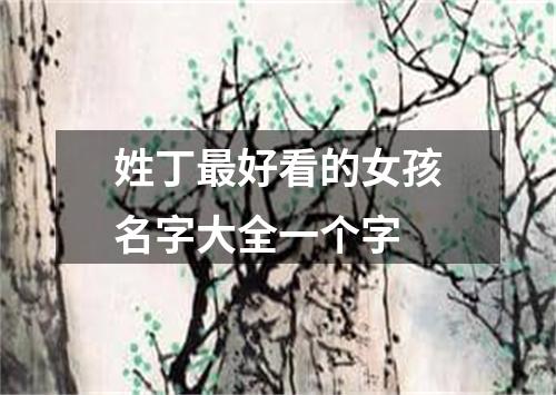 姓丁最好看的女孩名字大全一个字