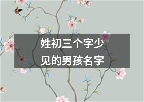 姓初三个字少见的男孩名字