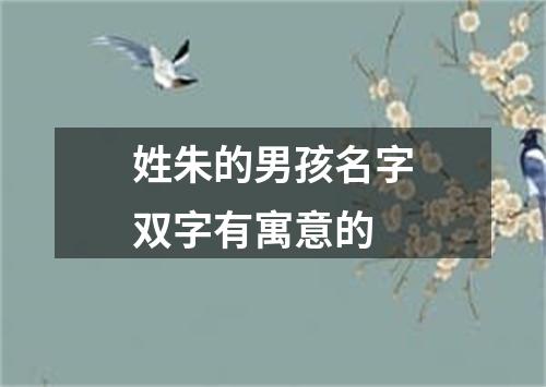 姓朱的男孩名字双字有寓意的