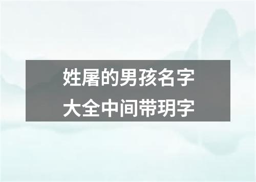 姓屠的男孩名字大全中间带玥字