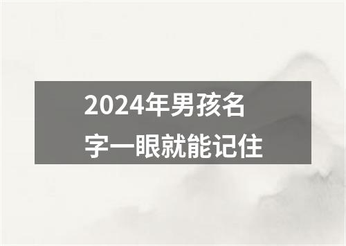 2024年男孩名字一眼就能记住