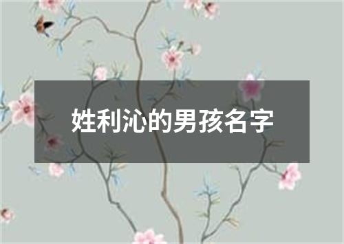 姓利沁的男孩名字