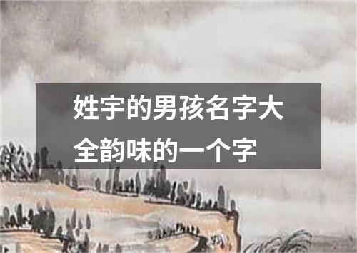 姓宇的男孩名字大全韵味的一个字