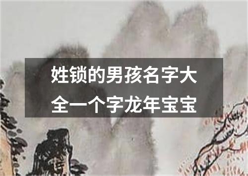 姓锁的男孩名字大全一个字龙年宝宝