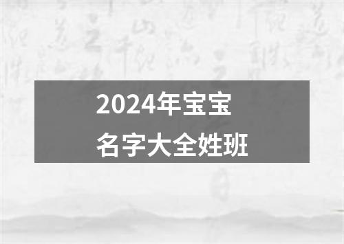 2024年宝宝名字大全姓班