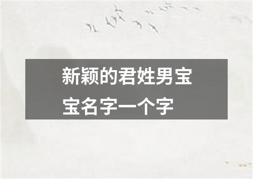 新颖的君姓男宝宝名字一个字
