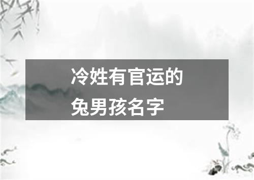 冷姓有官运的兔男孩名字