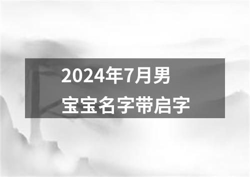 2024年7月男宝宝名字带启字