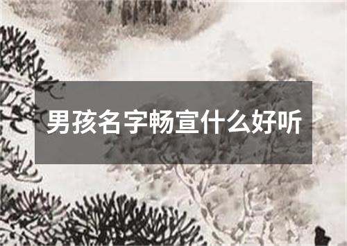 男孩名字畅宣什么好听